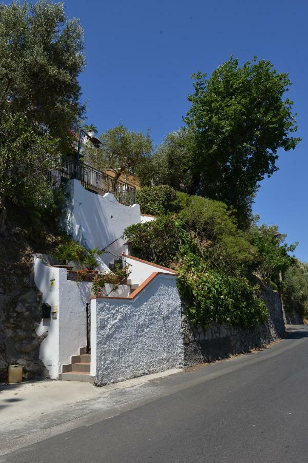La Fenice -White House- Homeinsorrento- Massa Lubrense Esterno foto